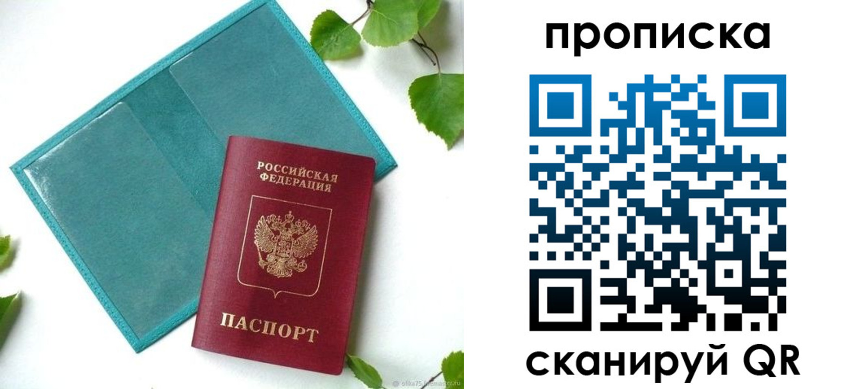 прописка штамп в Дмитрове